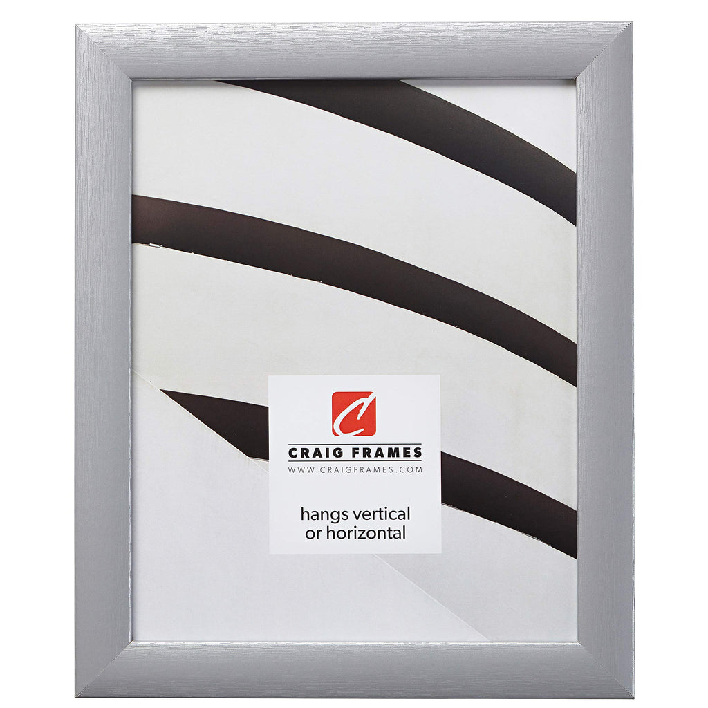 Craig Frames Contemporary Picture Frame, 14 x 18 Inch, Brushed Silver