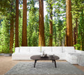 WFBHUA-Redwood Forest Wallpaper Green Woodland Tree Wallpaper for Bedroom Large Art Wall Murals for Living Room Office (Not Peel
