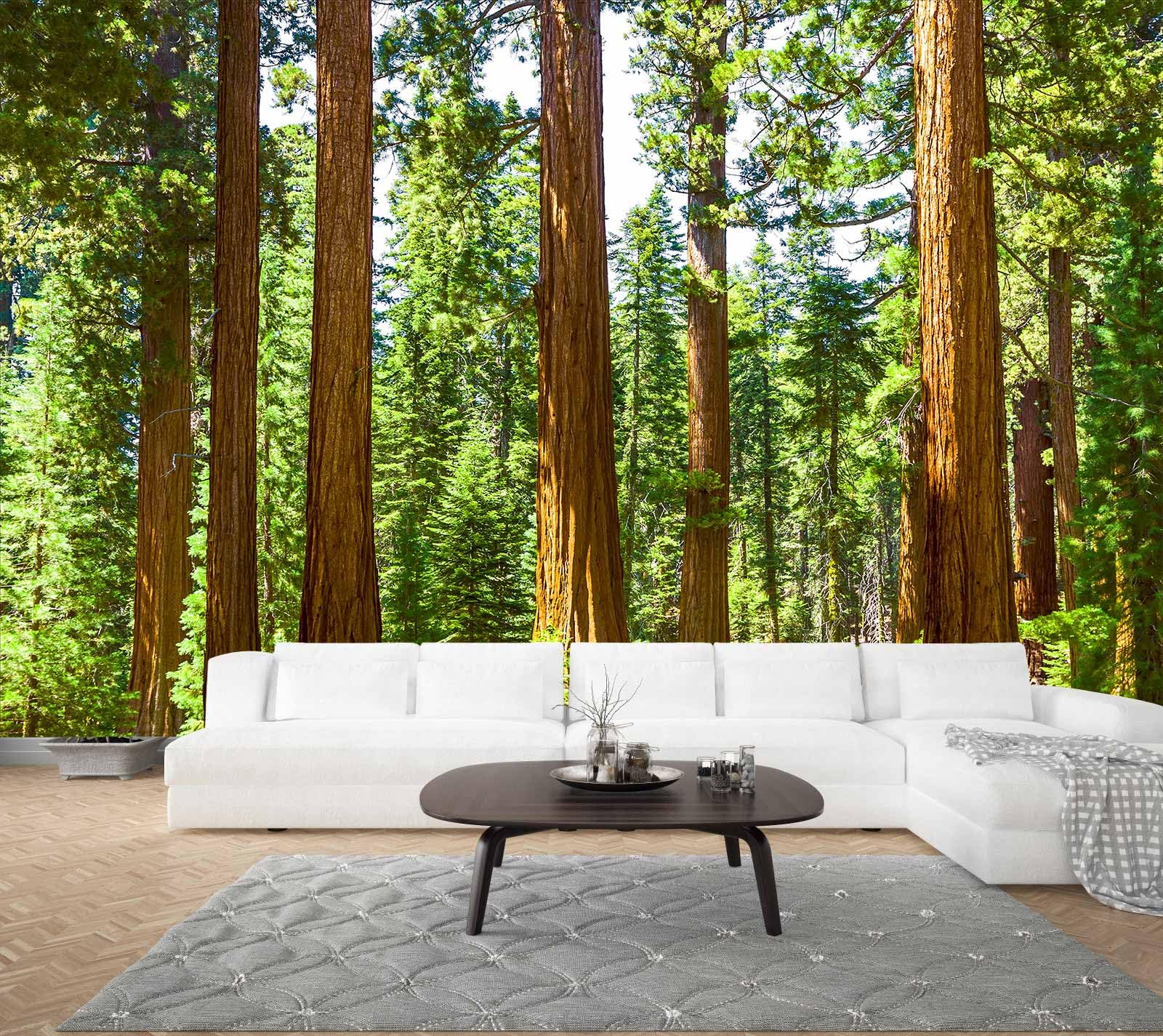 WFBHUA-Redwood Forest Wallpaper Green Woodland Tree Wallpaper for Bedroom Large Art Wall Murals for Living Room Office (Not Peel