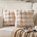 Joyouth Pack Of 2 Thick Plush Throw Pillow Covers Fluffy Wave Faux Fur Decorative Cushion Covers Soft Wool Pillowcase For Sofa C