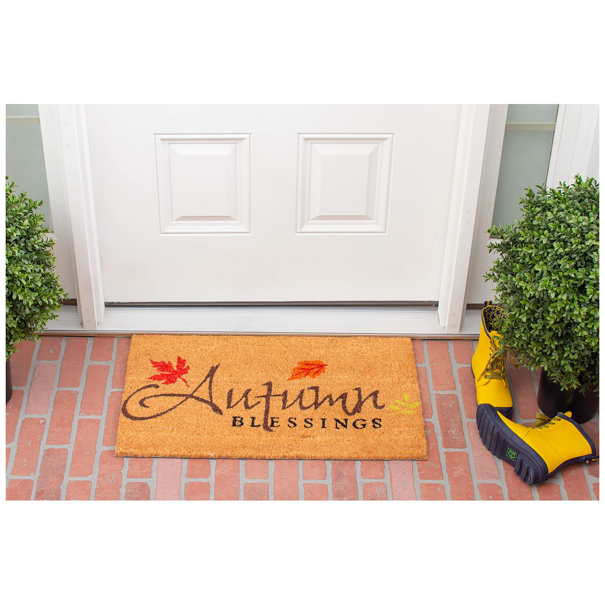 Calloway Mills Az101841729 Blessed Doormat, 17' X 29', Multicolor