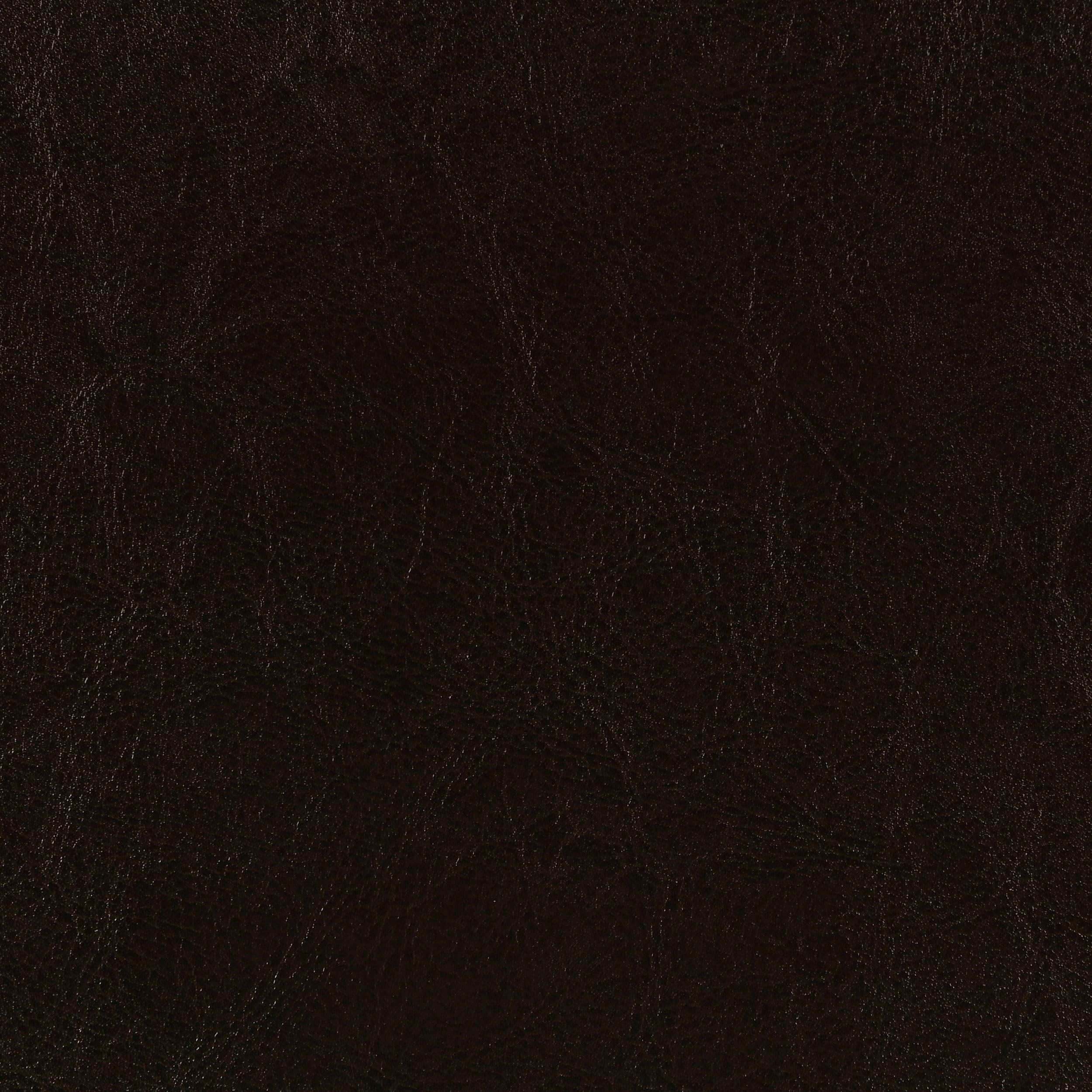 Coaster Home Furnishings Dorian Transitional Leatherette Upholstered Twin Size Panel Bed Frame 46-inch Headboard Brown 300762T