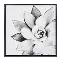 Kate and Laurel Sylvie Black and White Modern Succulent Print Framed Canvas Wall Art by Simon Te Tai, 30x30 Black