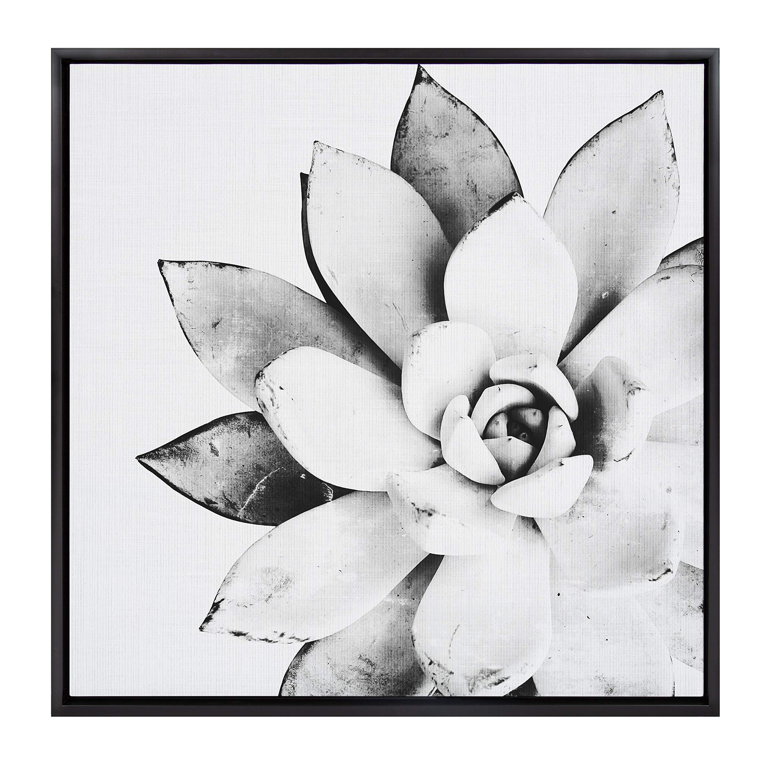Kate and Laurel Sylvie Black and White Modern Succulent Print Framed Canvas Wall Art by Simon Te Tai, 30x30 Black