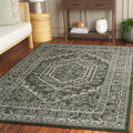 SAFAVIEH Adirondack Collection Area Rug - 51 x 76, Dark Green & Ivory, Oriental Medallion Design, Non-Shedding & Easy Care, Id