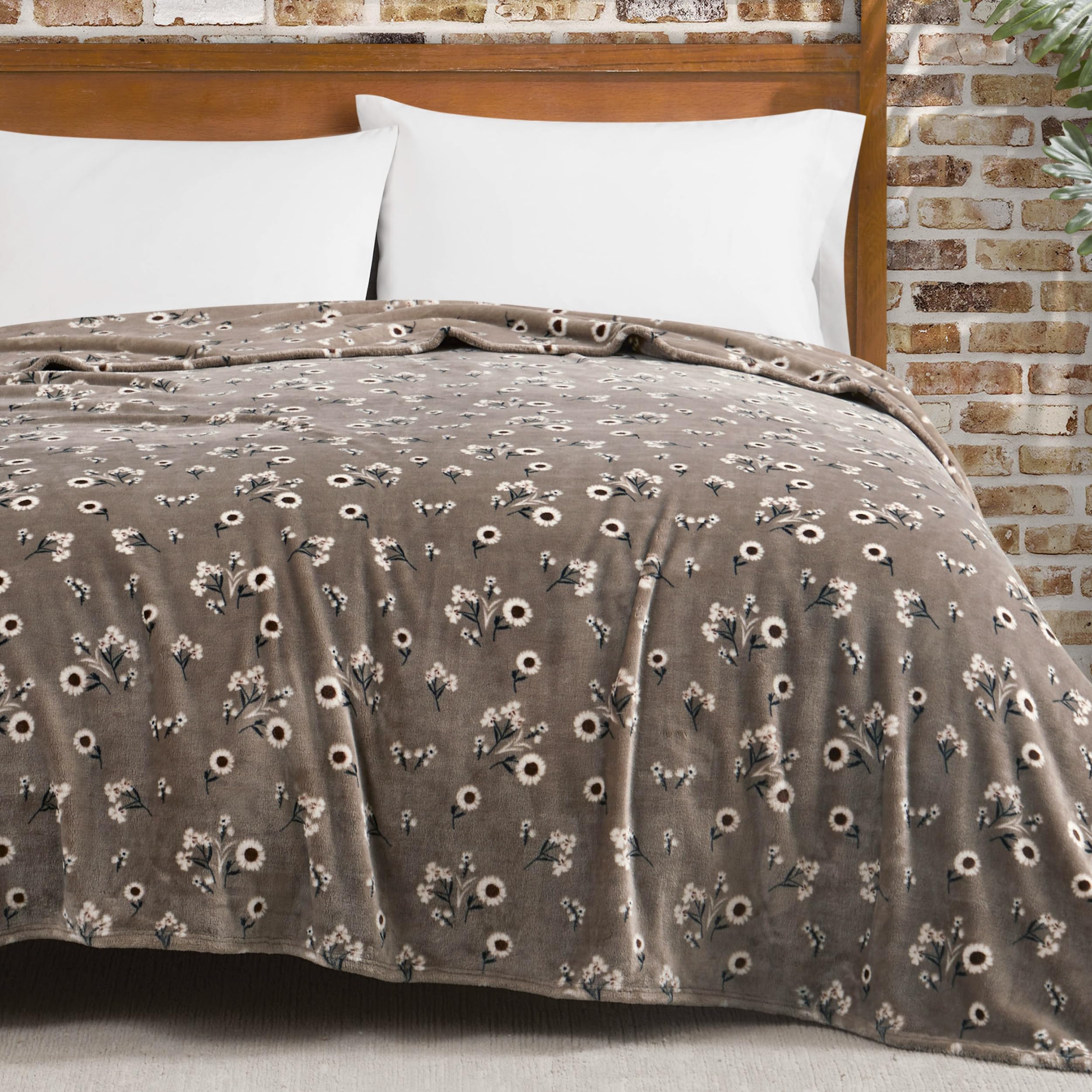Lucky Brand Daisy Beige Floral 66'X90' Cozy Plush Blanket - Premium Microfiber Throw For Luxurious Comfort And Style Twin/Twin