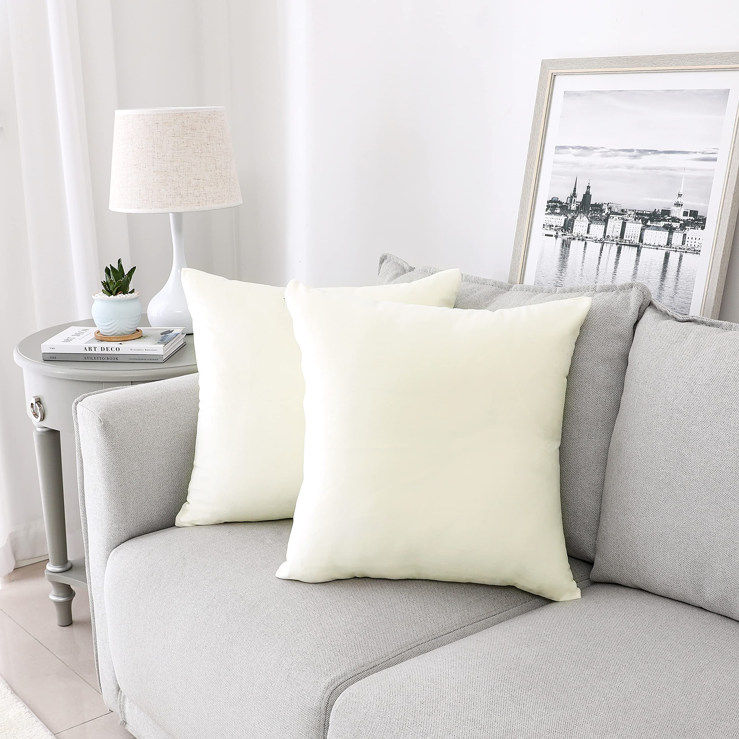 Nini All Decorative Throw Pillow Covers Velvet Soft For Couch Sofa Bedroom Living Roomg Outdoor Pack Of 2 20X20 Inch Cream White