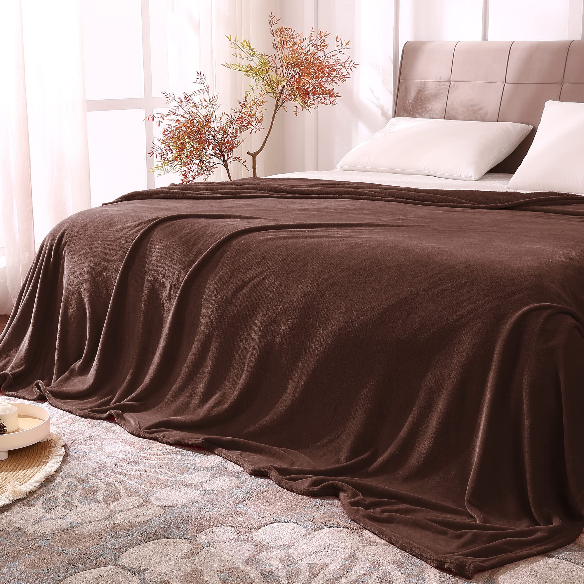 Bedelite Fleece Blankets Queen Size Brown Throw Blankets For Bed & Couch, Plush Cozy Fuzzy Blanket, Super Soft & Warm Blankets F