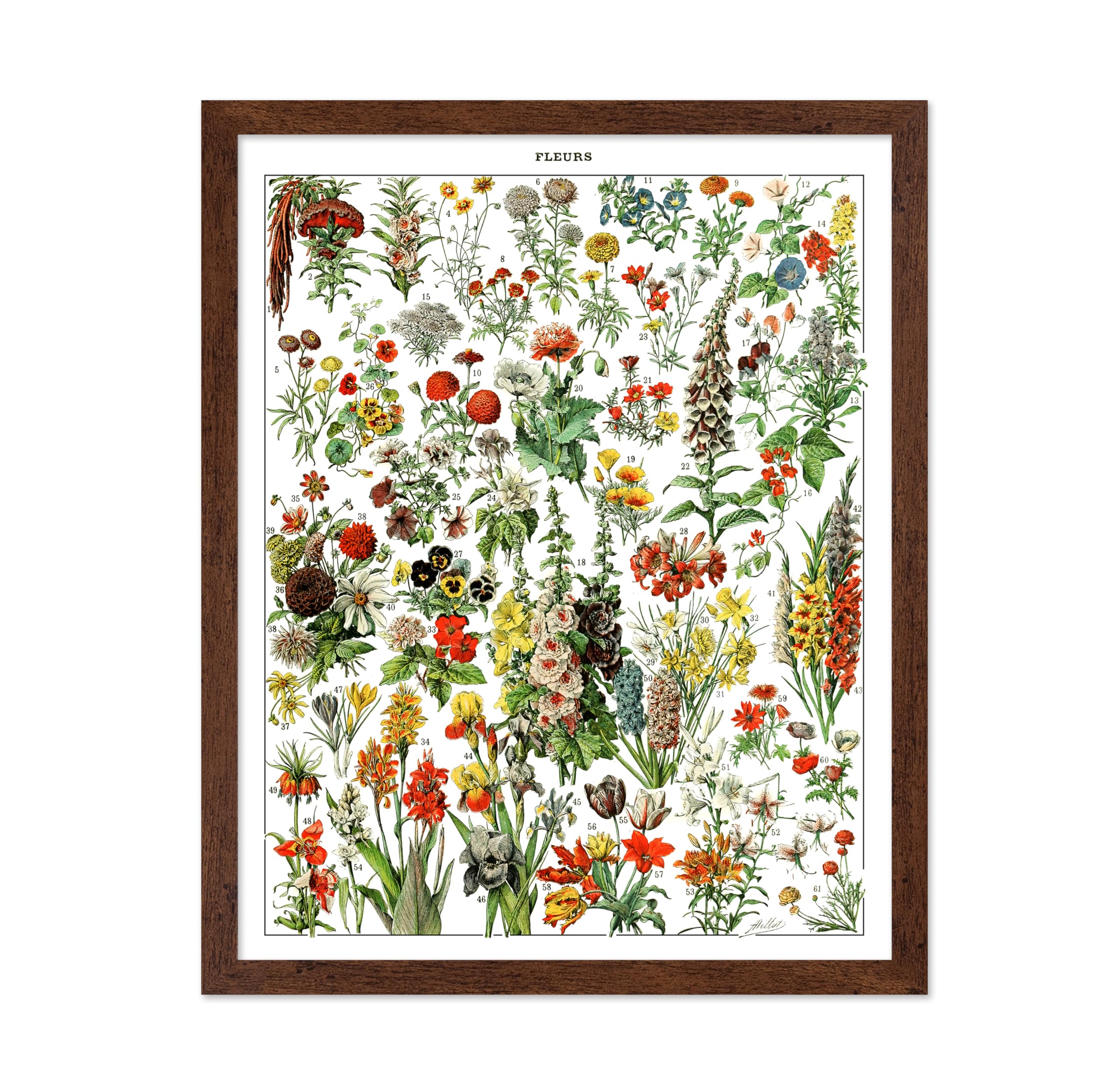 Poster Master Vintage Poster - Retro Botanical Print - Gift for Gardener, Friend - Colorful Flowers, Floral, Garden, Romantic - 