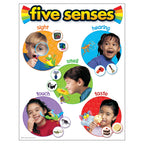 Trend Enterprises Five Senses Learning Chart 17" x 22" Multi-colored Paper