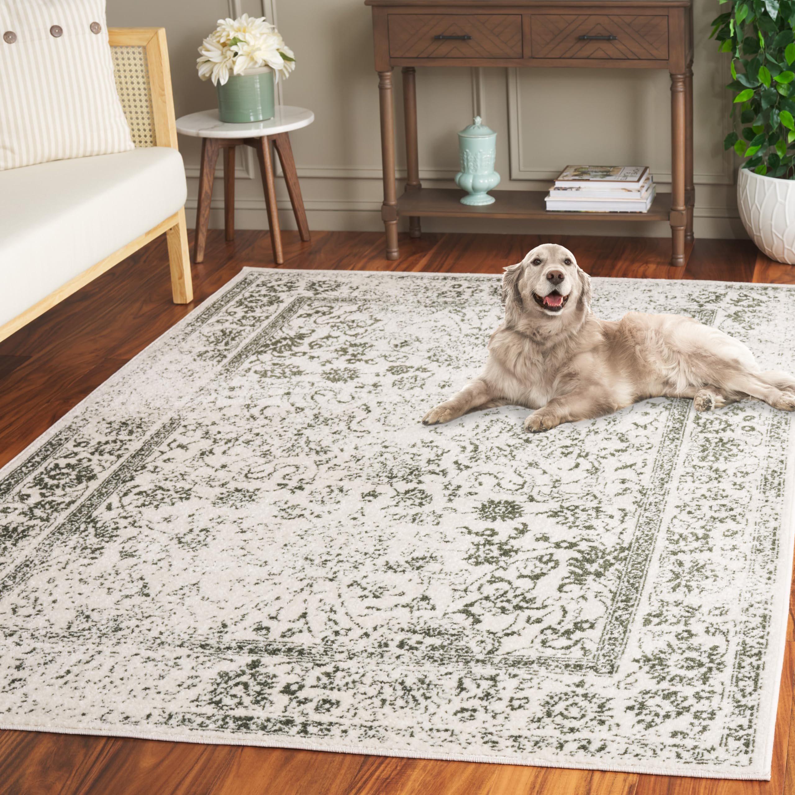 SAFAVIEH Adirondack Collection Area Rug - 8 x 10, Ivory & Dark Green, Transitional Design, Stain Resistant, Ideal for High Tra
