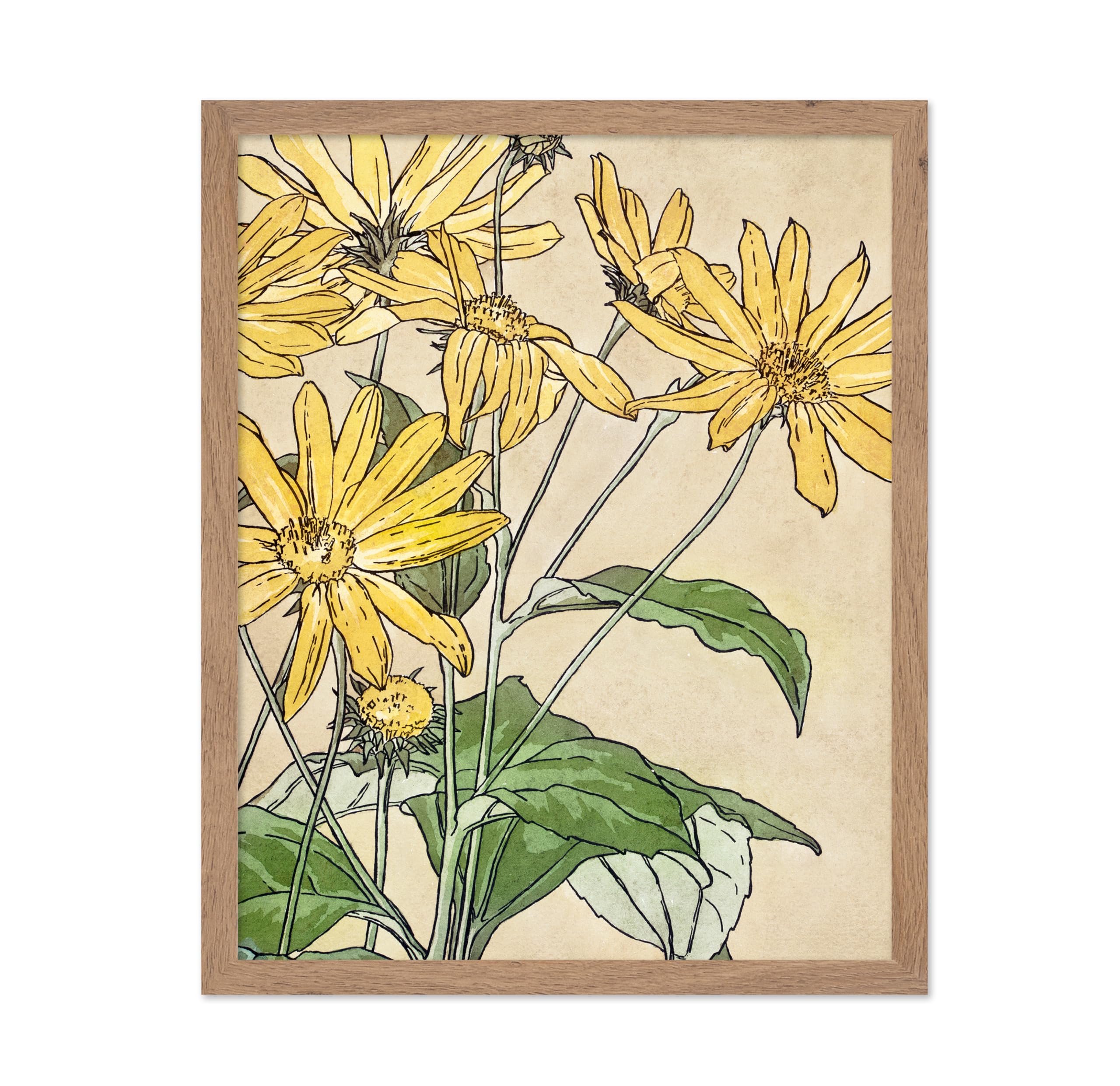 Poster Master Vintage Overbeck Poster - Retro Watercolor Print - Gift for Artist, Friend - Sunflowers, Beautiful, Botanical, Pla