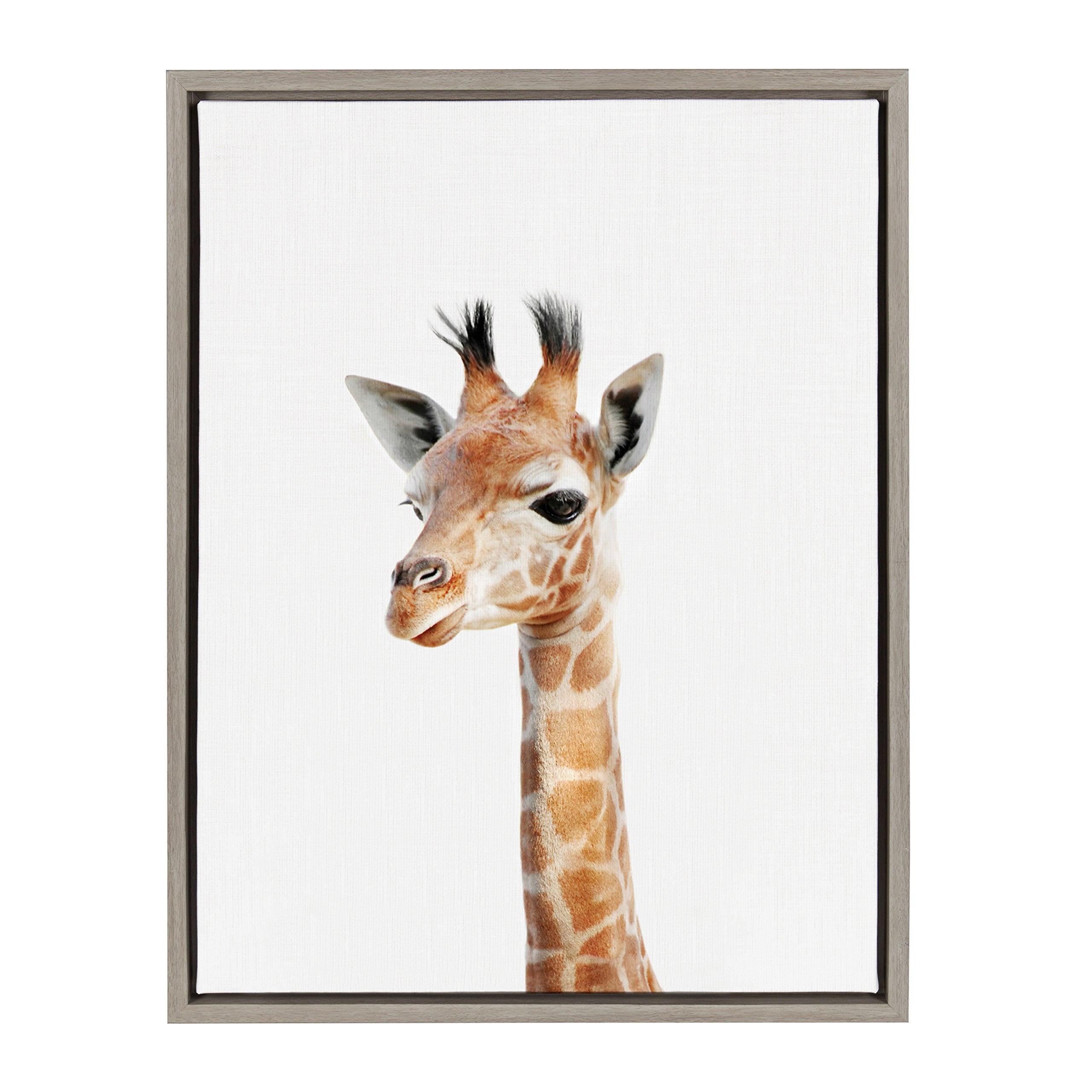 Kate and Laurel Sylvie Baby Giraffe Animal Print Portrait Framed Canvas Wall Art by Amy Peterson, 18x24 Gray