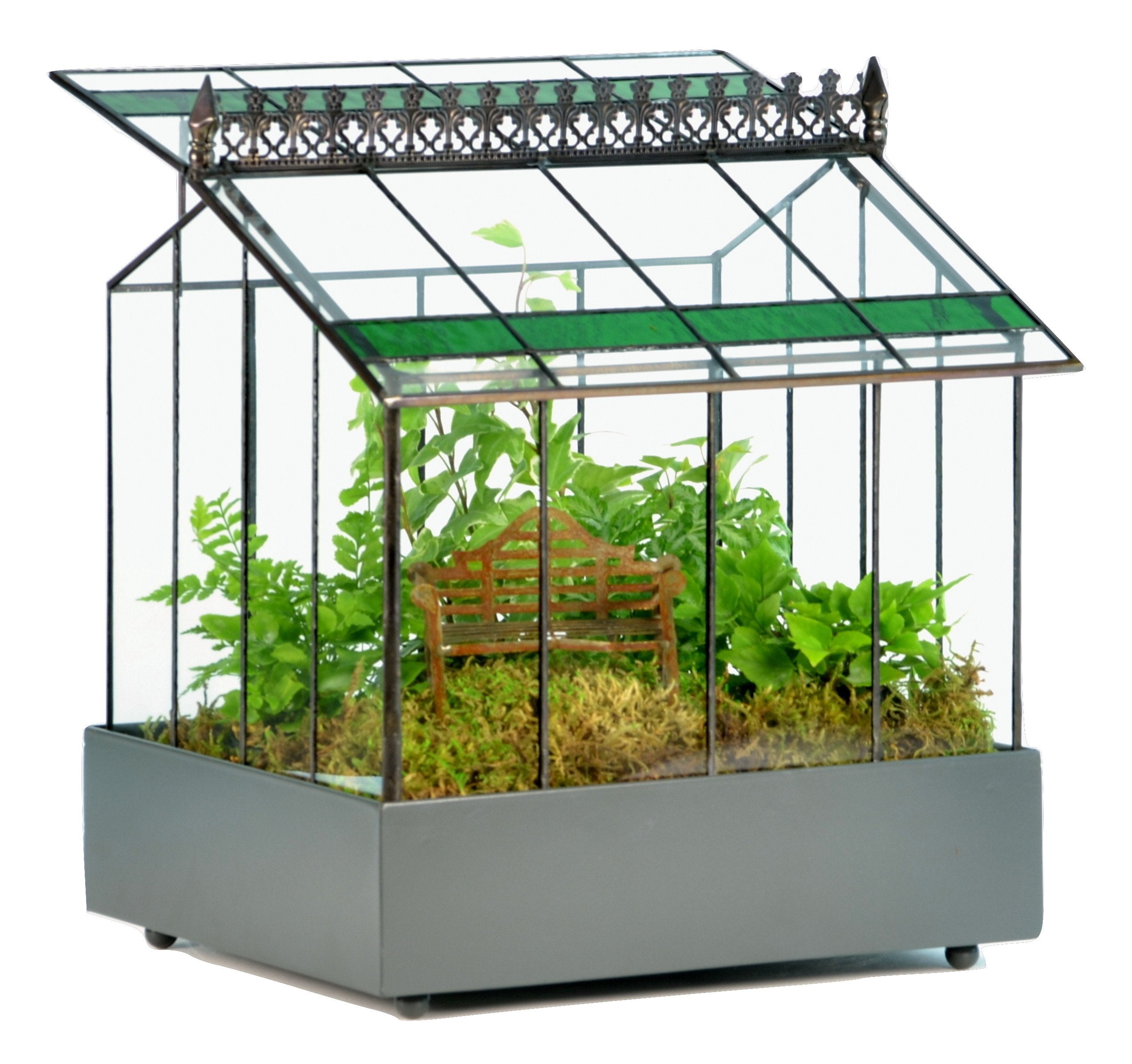 H Potter Glass Terrarium Planter Wardian Case Container With Green Glass Accent For Succulent Plants Flowers Orchids Foliage And