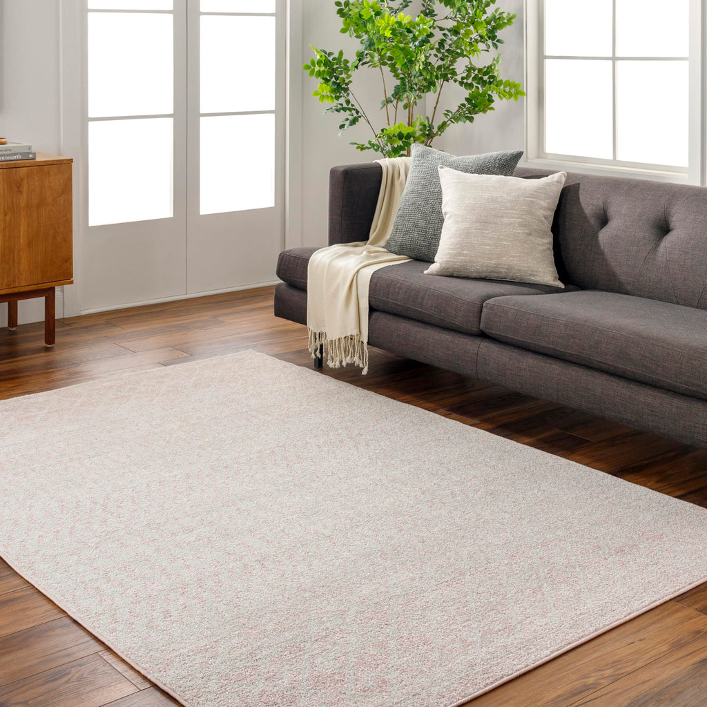 Livabliss Chester Boho Moroccan Area Rug,2' x 3',Blush/Light Gray