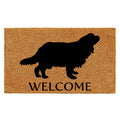 Calloway Mills Az105641729 Cavalier King Charles Spaniel Doormat, 17' X 29', Natural/Black