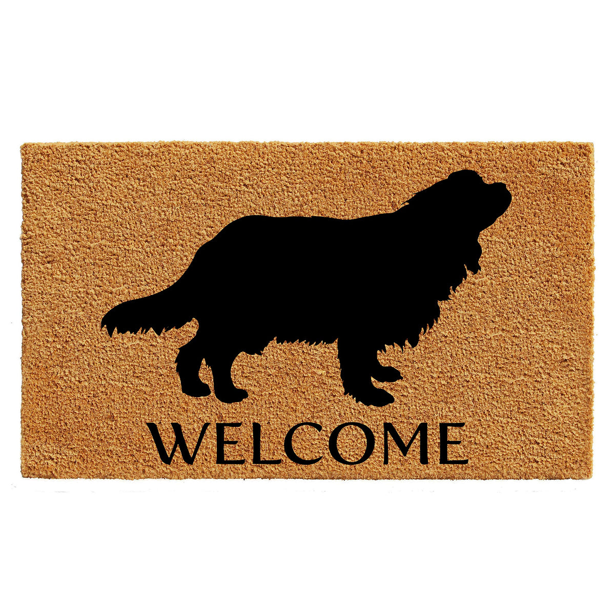 Calloway Mills Az105641729 Cavalier King Charles Spaniel Doormat, 17' X 29', Natural/Black