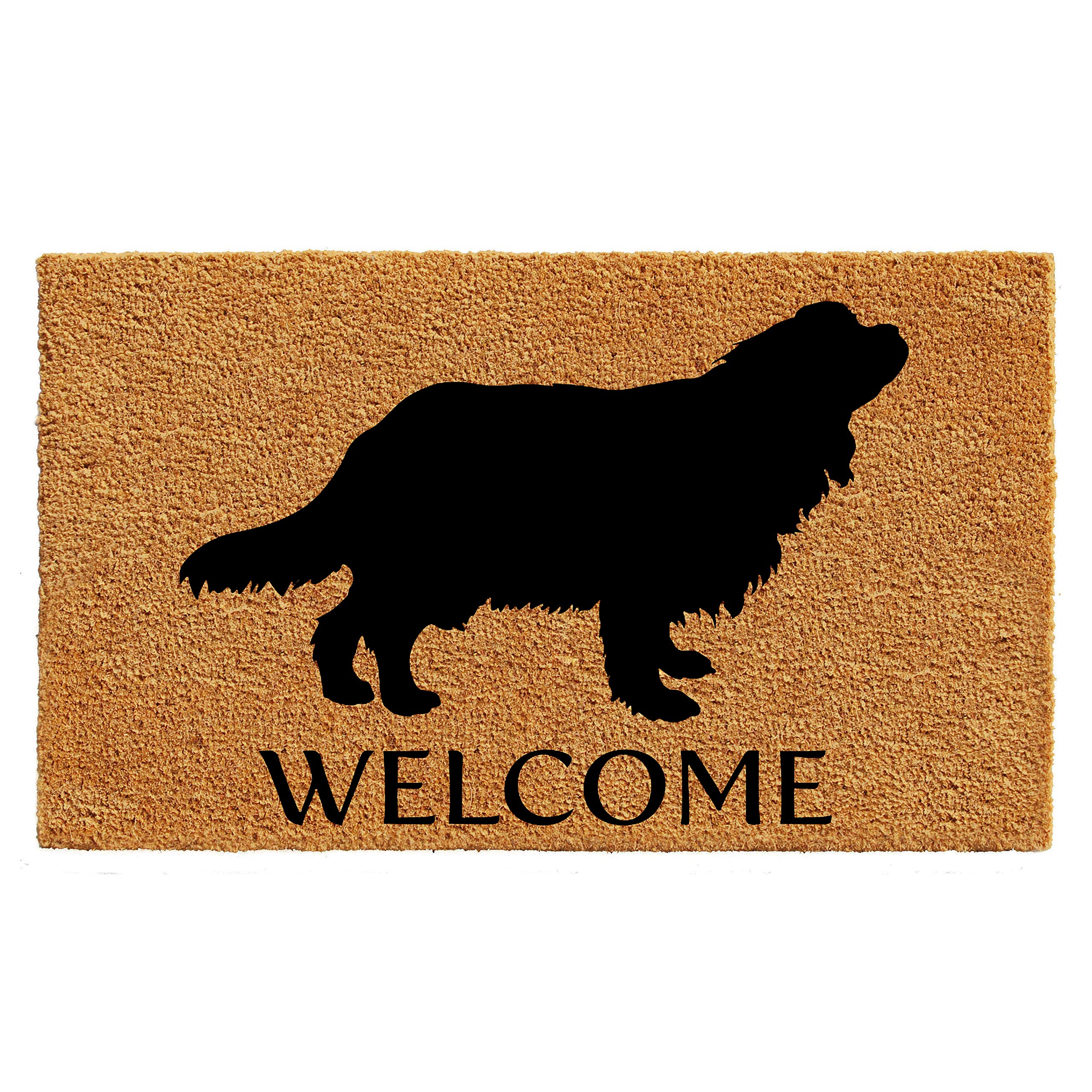 Calloway Mills Az105642436 Cavalier King Charles Spaniel Doormat, 24' X 36', Natural/Black