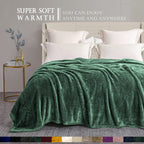 Exclusivo Mezcla Plush Fuzzy Fleece Bed Blanket Queen Size, Super Soft, Fluffy And Warm Blankets For Couch, Bed, All Season Use