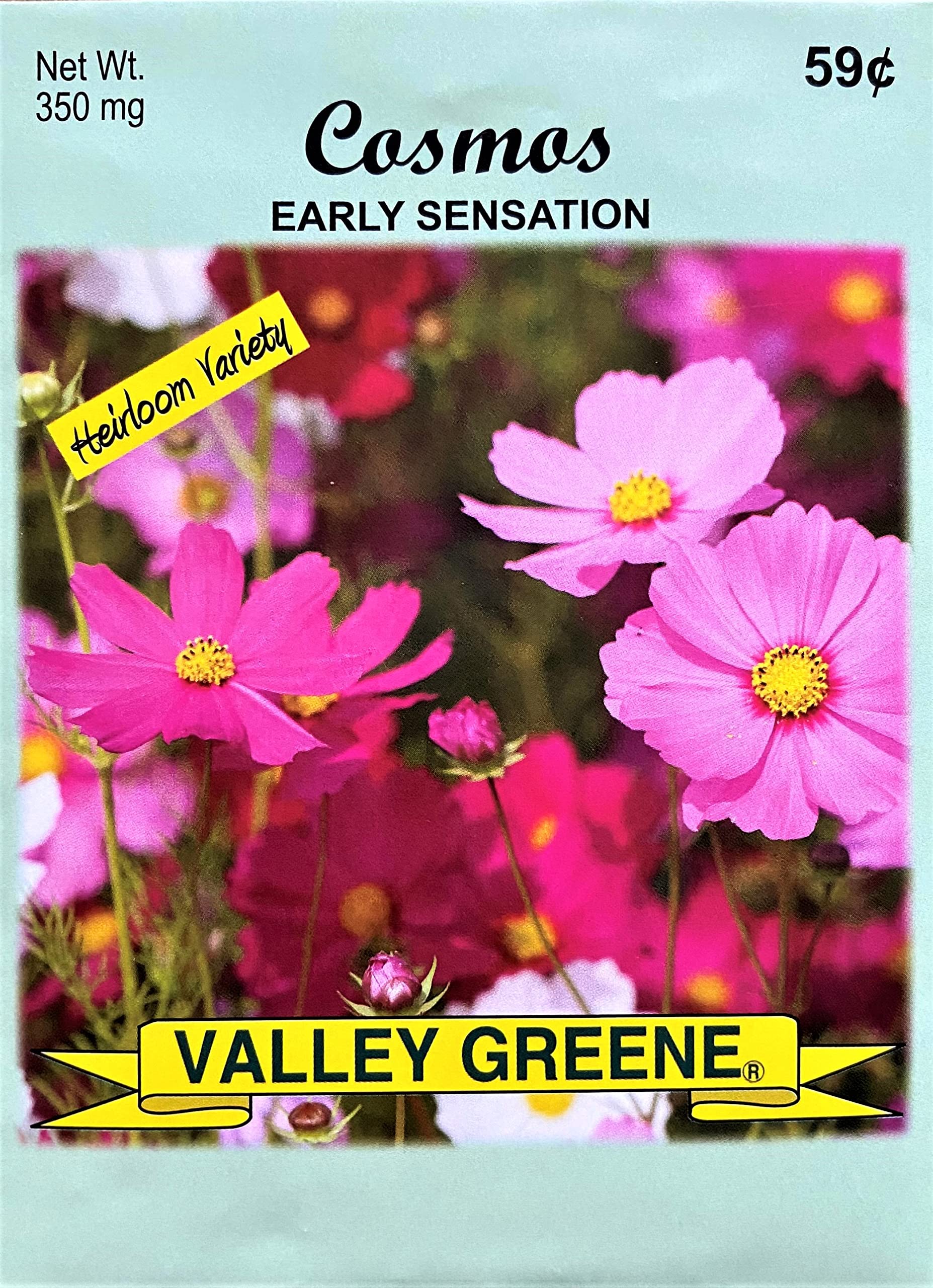 Set Of 100 Cosmos - Early Sensation Annual Flower Seed Packets - Perfect For Creating Your Dream Garden! - Includes 100 Packets