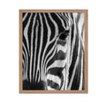 Poster Master Photograph Poster - Retro Animal Print - Striped Zebra, Face Close Up, Safari, Wildlife, Black and White - Gift fo