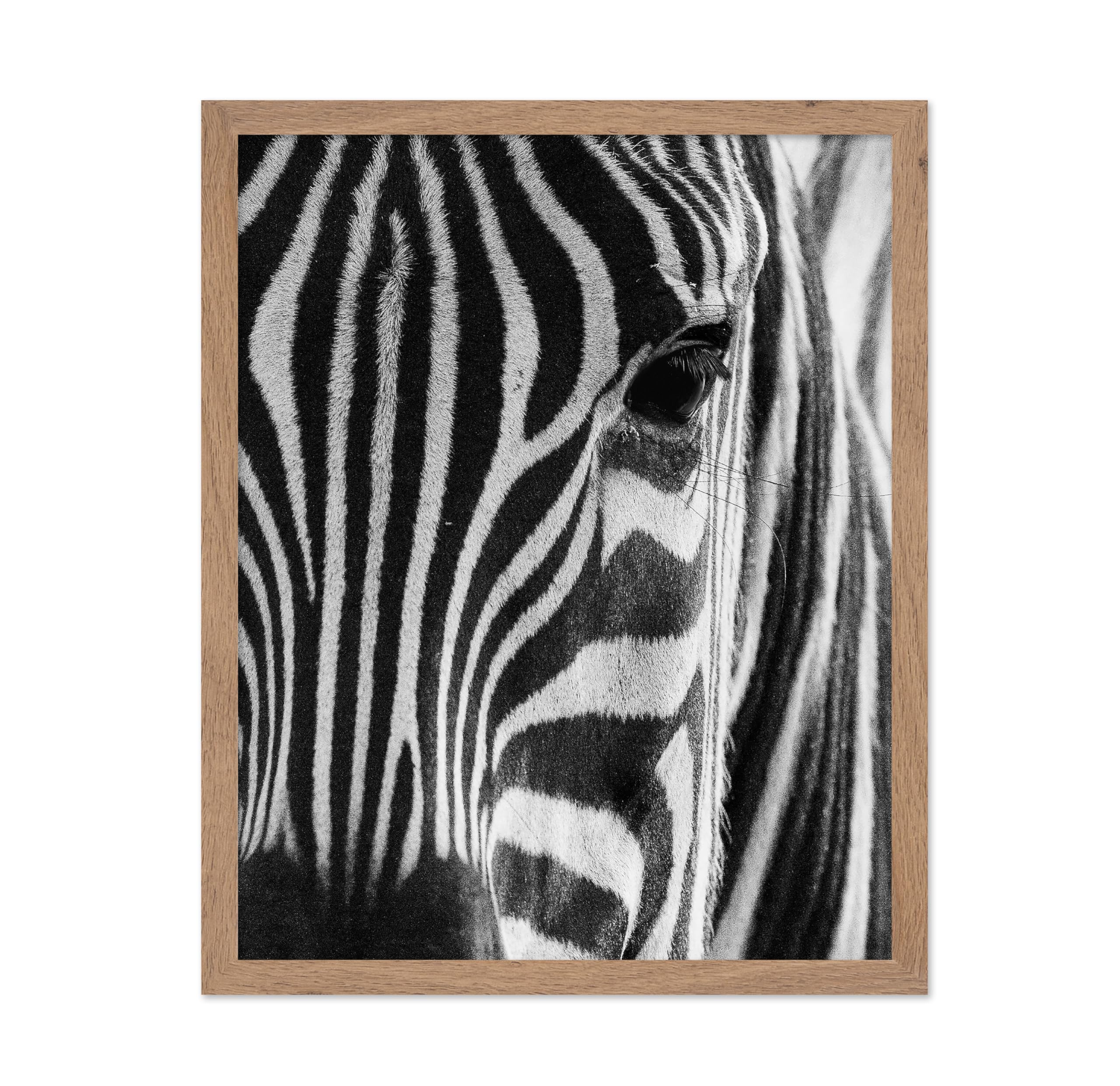 Poster Master Photograph Poster - Retro Animal Print - Striped Zebra, Face Close Up, Safari, Wildlife, Black and White - Gift fo