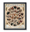 Poster Master Vintage Poultry of the World Poster - Retro Chicken Print - Hen Breeds Art - Roosters Art - Farmhouse Art - Poultr