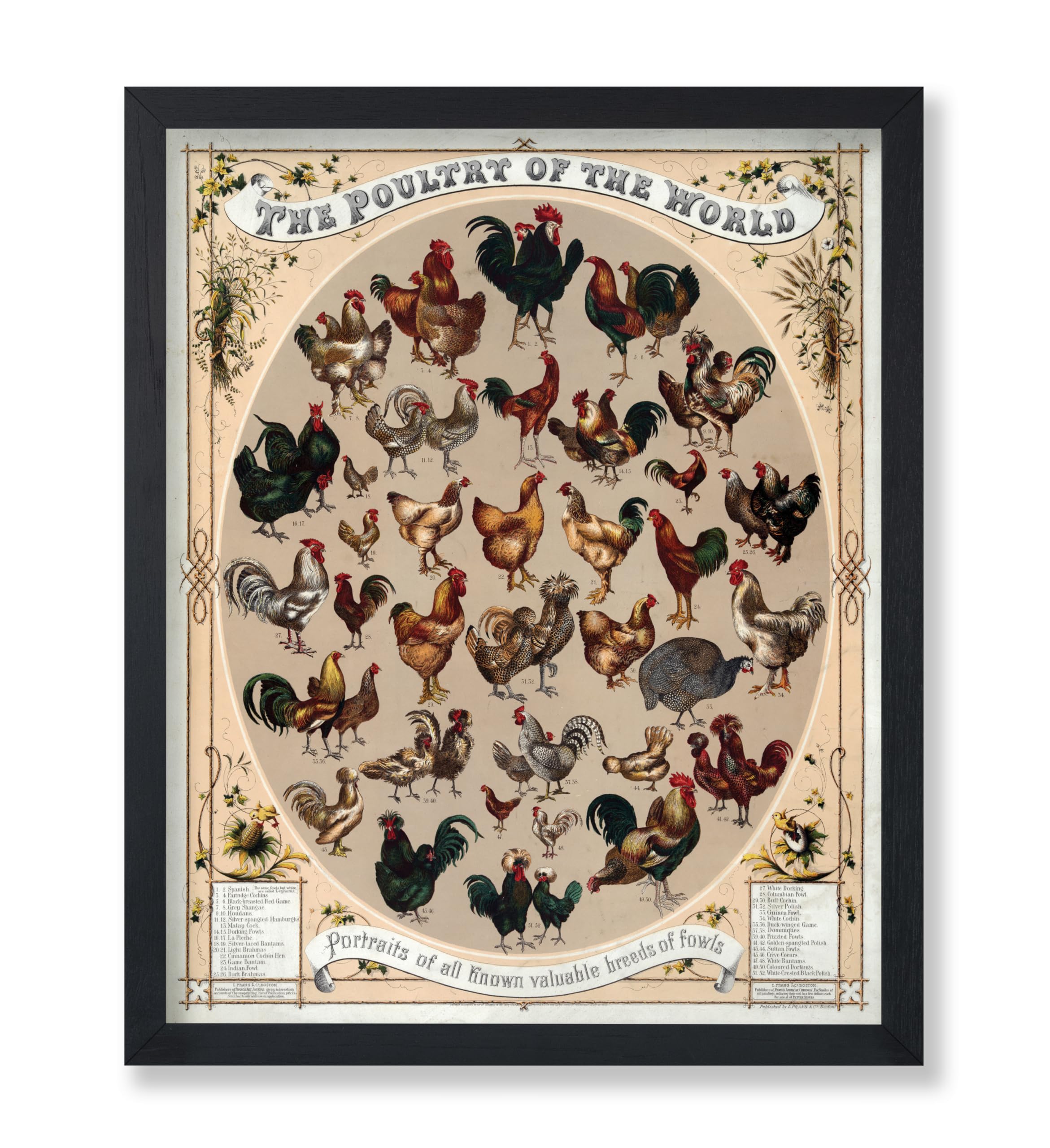 Poster Master Vintage Poultry of the World Poster - Retro Chicken Print - Hen Breeds Art - Roosters Art - Farmhouse Art - Poultr