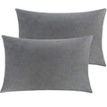 Ntbay 2 Pack Zippered Velvet Queen Pillowcases, Super Soft And Cozy Luxury Fuzzy Flannel Pillow Cases With Zipper, 20X30 Inches,