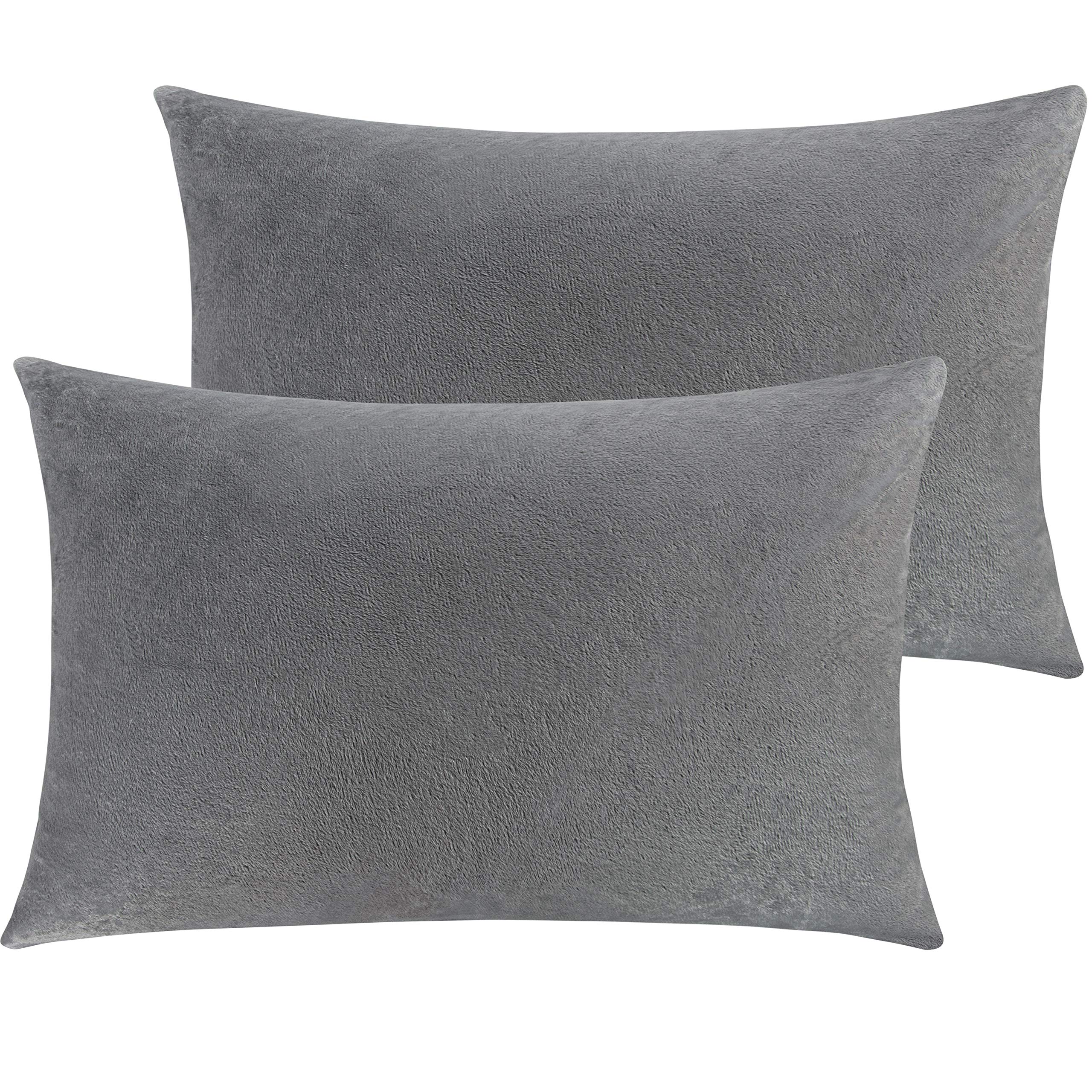 Ntbay 2 Pack Zippered Velvet Queen Pillowcases, Super Soft And Cozy Luxury Fuzzy Flannel Pillow Cases With Zipper, 20X30 Inches,