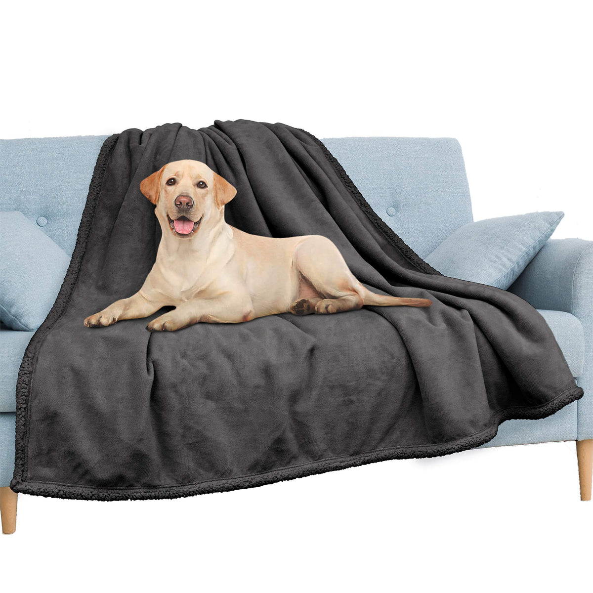 Pavilia Waterproof Blanket For Couch, Sofa | Waterproof Dog Blanket For Large Dog, Puppy, Cat | Pet Blanket Protector | Plush So