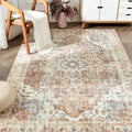 jinchan Area Rug 3x5 Washable Rug Vintage Rug Indoor Floor Distressed Carpet Brick Red Multi Thin Rug Chenille Mat Accent Rug Li