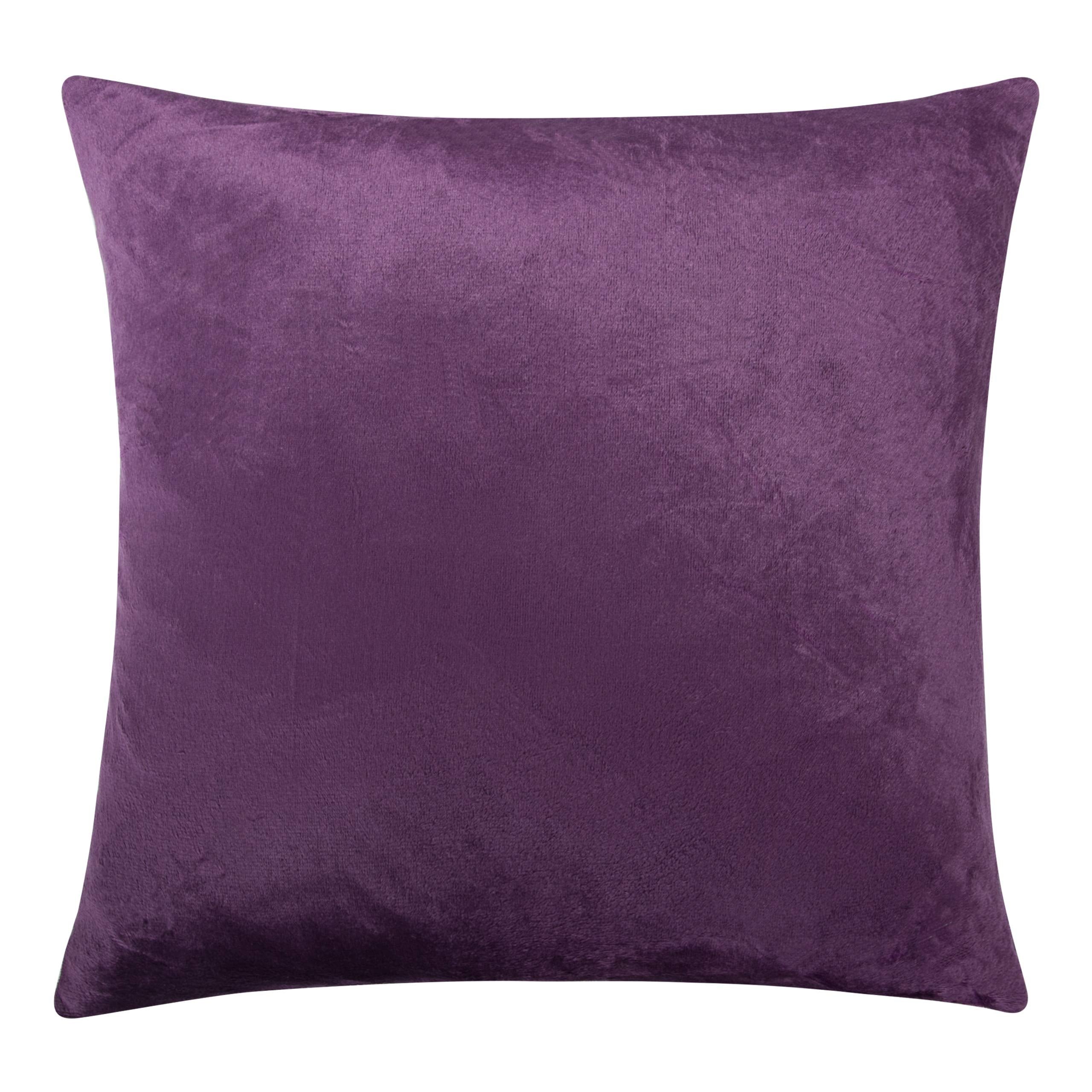 Ntbay Velvet Square Zippered Throw Pillow Cover, Super Soft And Luxury Decorative Euro Cushion Cover For Sofa, Couch, 26X26 Inches, Purple