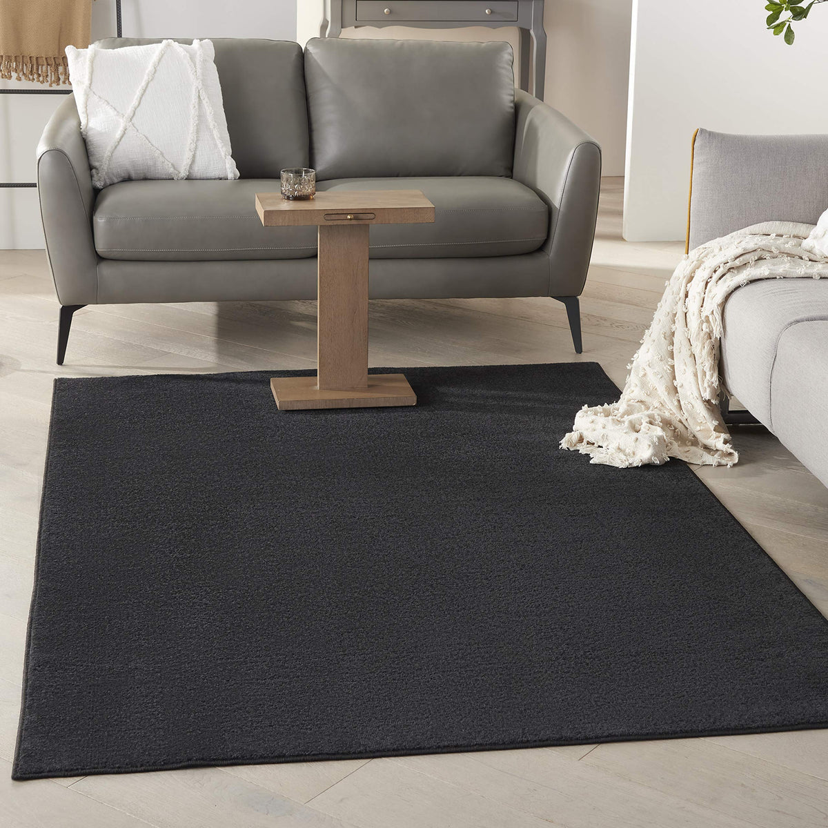 Nourison Essentials Indoor/Outdoor Black 4' X 6' Area Rug, Easy Cleaning, Non Shedding, Bed Room, Living Room, Dining Room, Back
