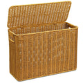 Pumtus Woven Storage Basket with Lid, 3 Gallon Decorative Plastic Organizer Box with Handle, Rectangle Narrow Tall Trash Can Toi