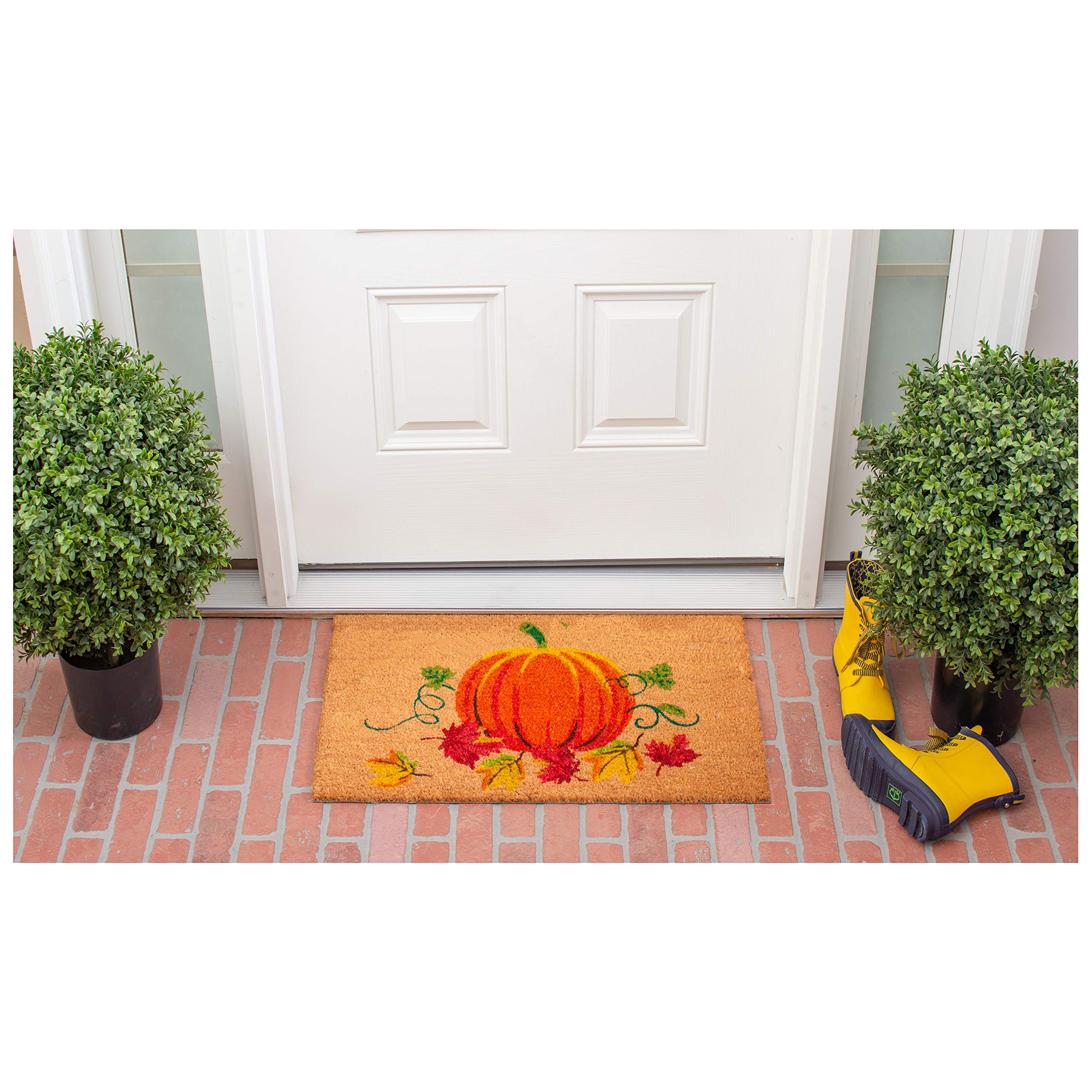 Calloway Mills 121981729 Nature'S Bounty Doormat, 17' X 29', Multicolor