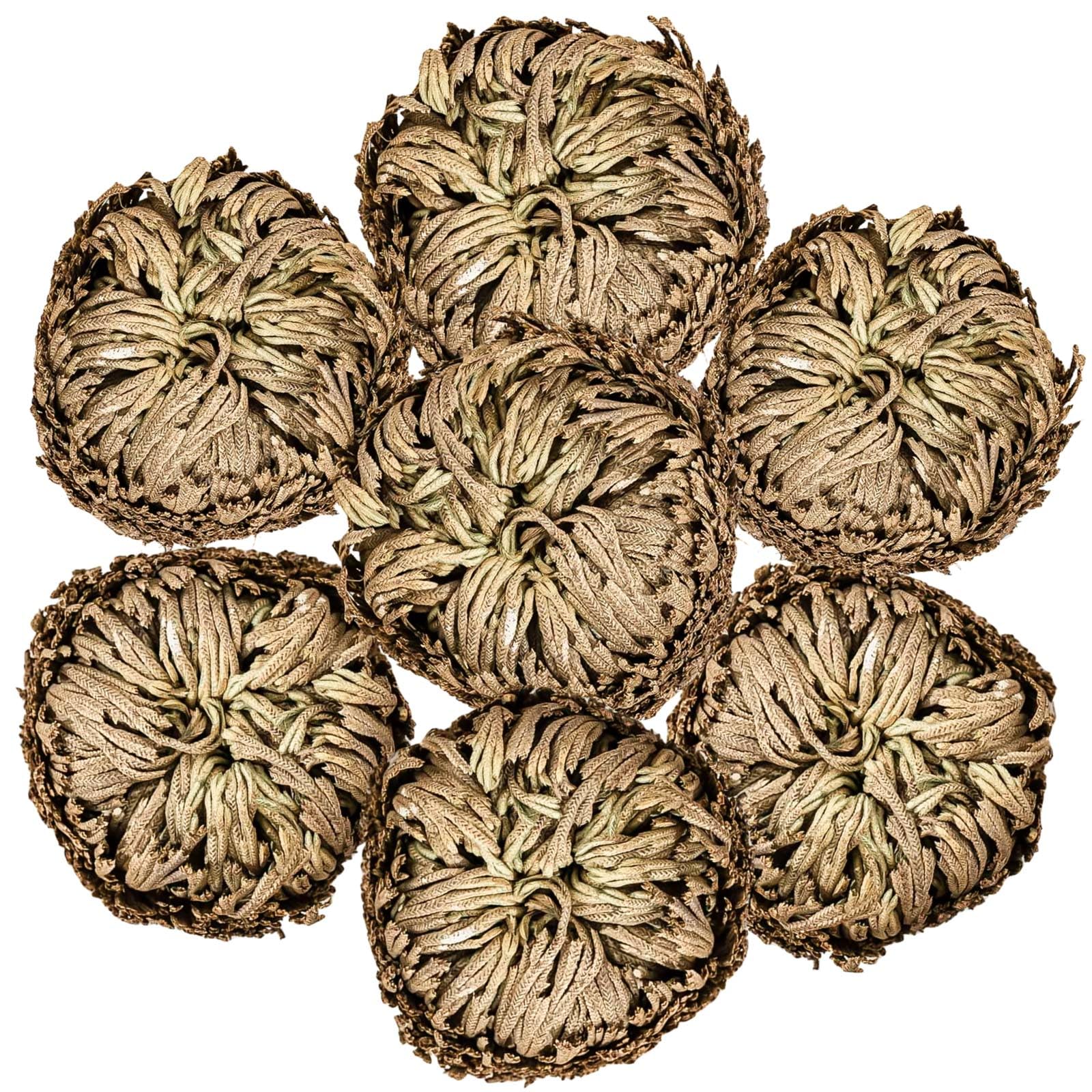 7 Pack Rose of Jericho Dried Plants - Rosa de Jerico Original, Dried Fern Like Scale Leaf Prayer Plants for Spiritual Purificati