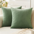 Anroduo Pack Of 2 Velvet Sage Green Throw Pillow Covers 18X18 Inch Decorative Pillow Covers Euro Cushion Case Soft Solid Square