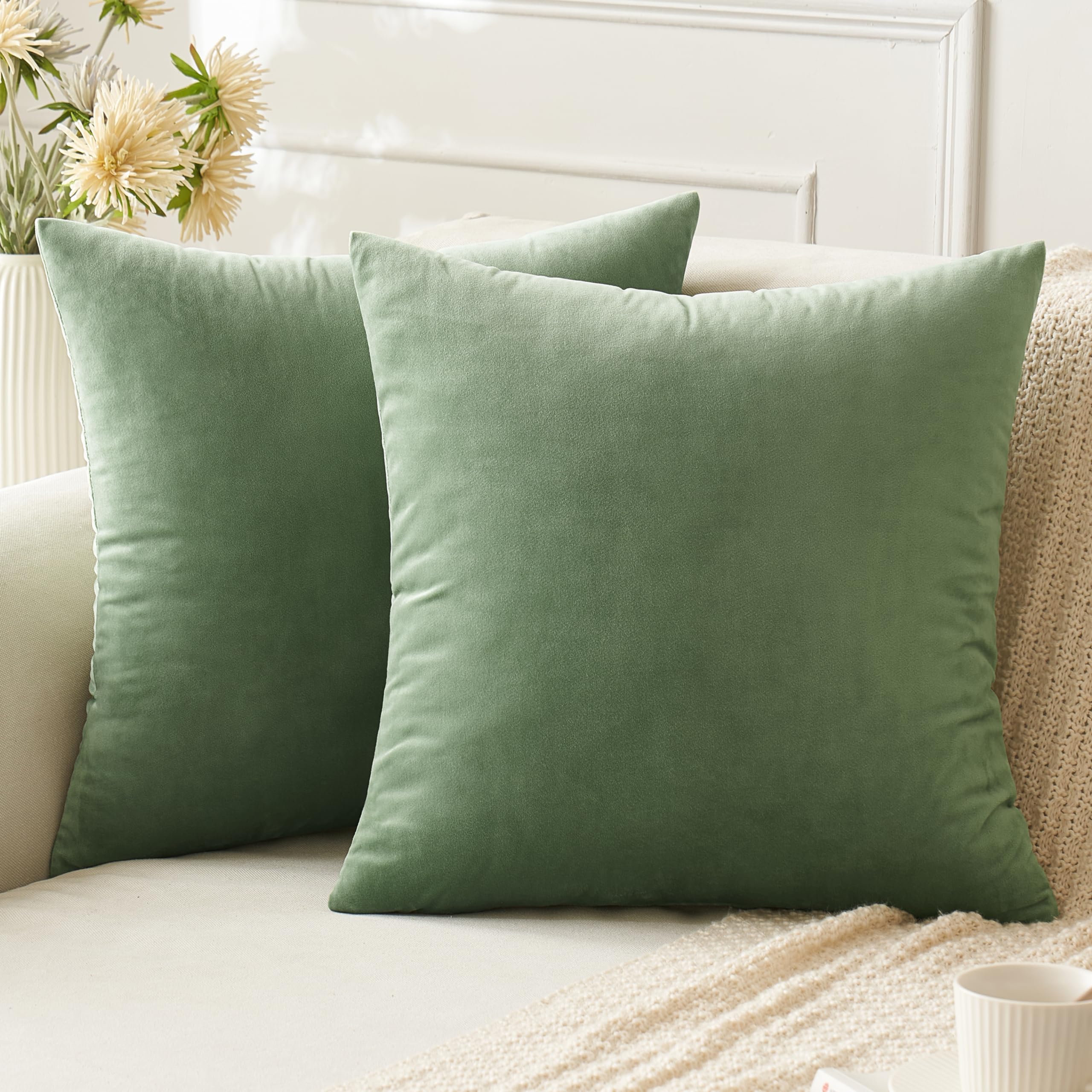 Anroduo Pack Of 2 Velvet Sage Green Throw Pillow Covers 18X18 Inch Decorative Pillow Covers Euro Cushion Case Soft Solid Square