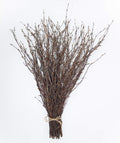 ECOVENIK - 50 psc. Birch Twigs - 100% Natural Decorative Birch Branches for Vases, Centerpieces & DIY Crafts - Birch Sticks for 