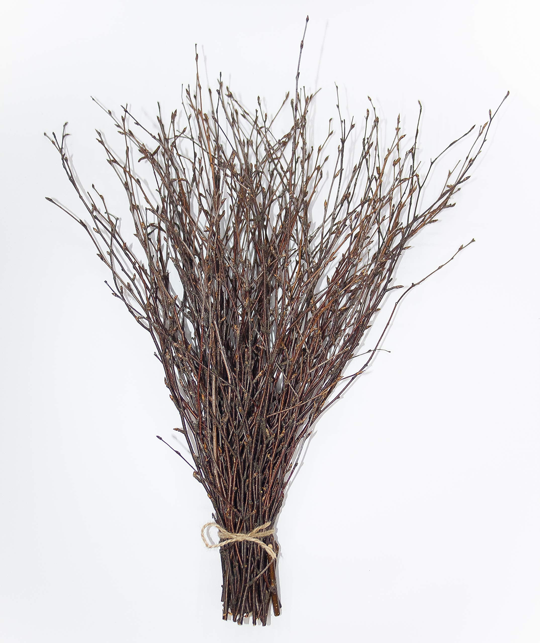 ECOVENIK - 50 psc. Birch Twigs - 100% Natural Decorative Birch Branches for Vases, Centerpieces & DIY Crafts - Birch Sticks for 