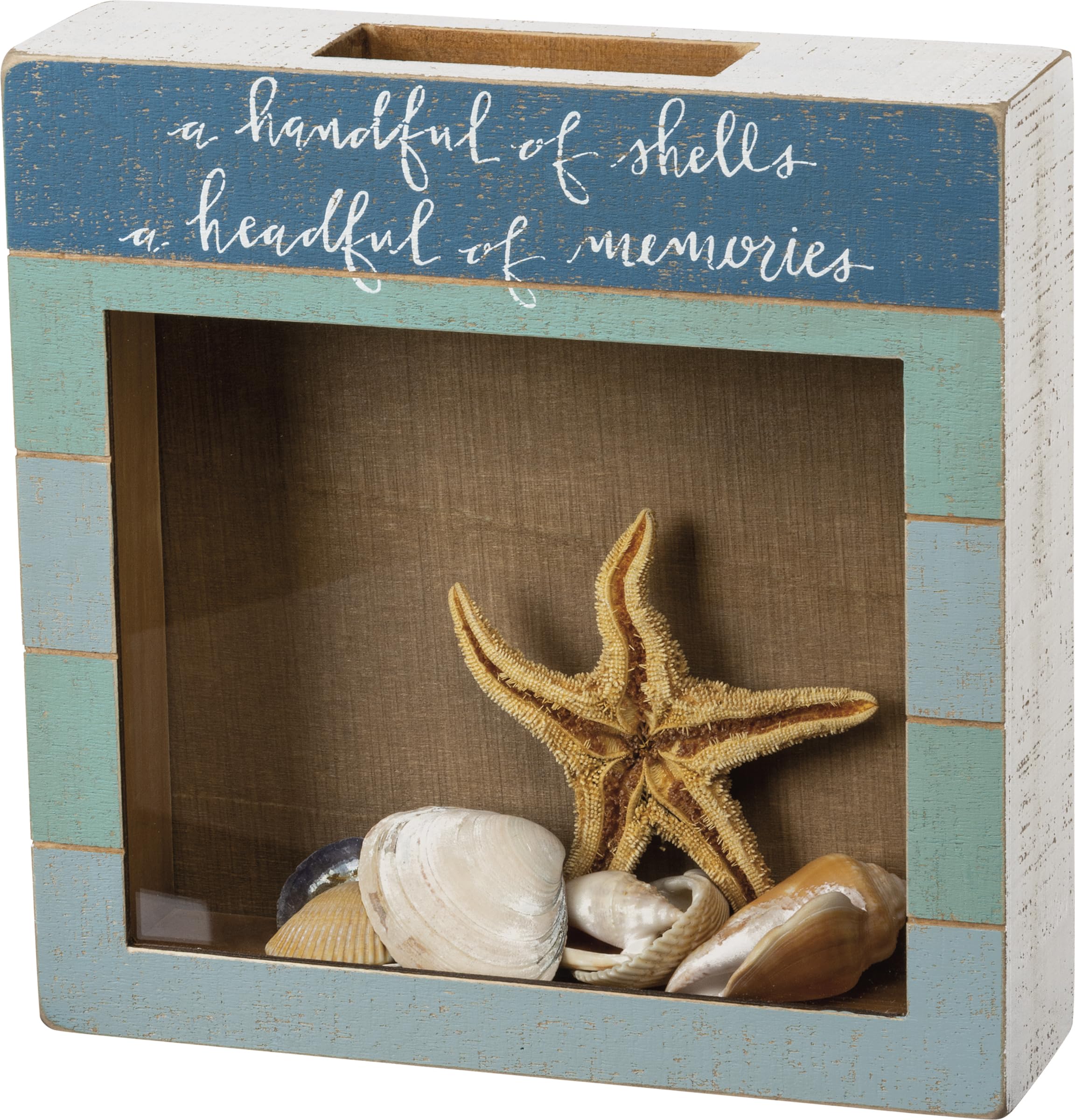 Primitives by Kathy Seashell Holder - Coastal Decor, Glass Display, Treasure Chest, Room and Bedroom Decor