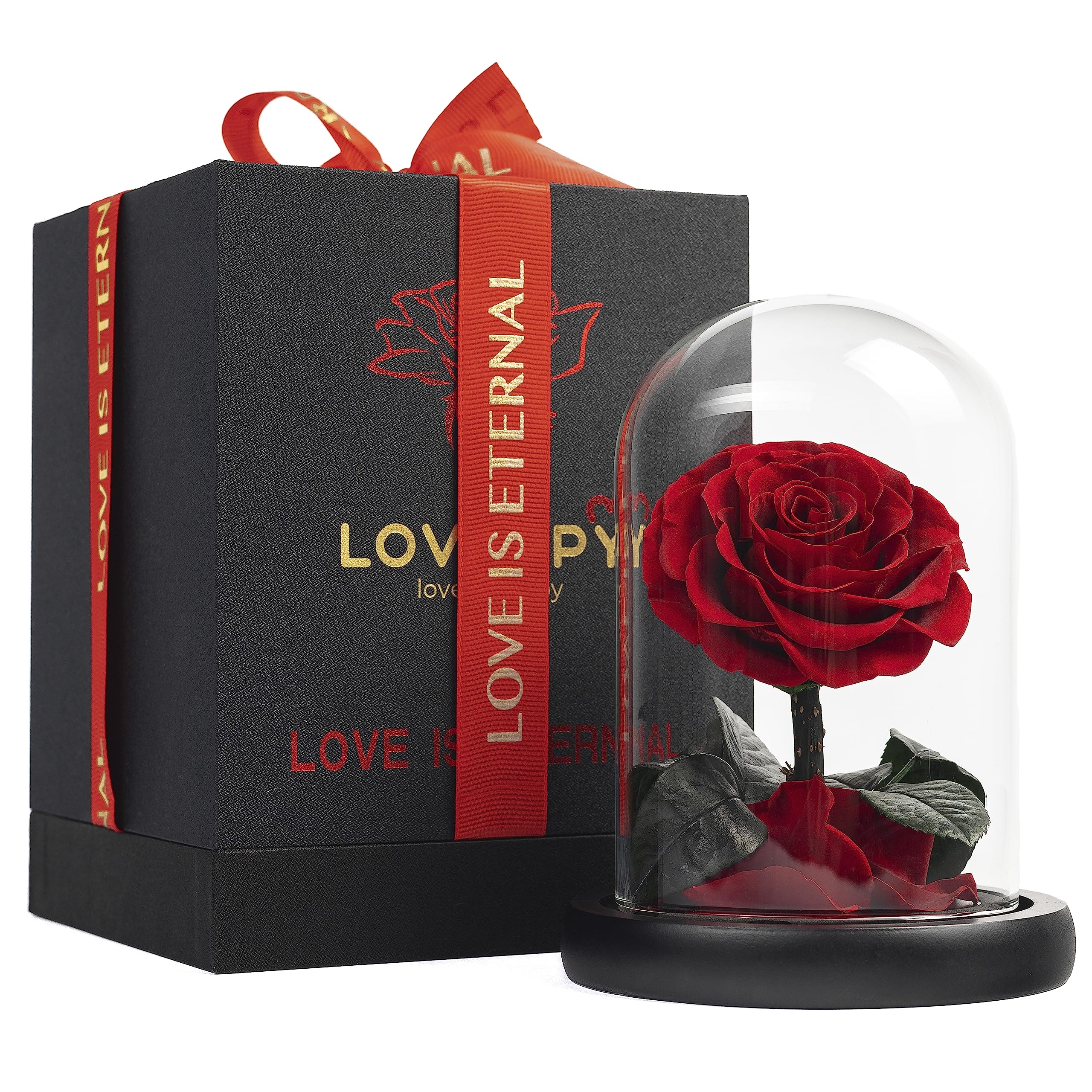 Lovappy Eternal Enchanted Forever Preserved Rose - Infinity Rose In Glass Dome - Made From Real Fresh Beauty Rose - Romantic Gif