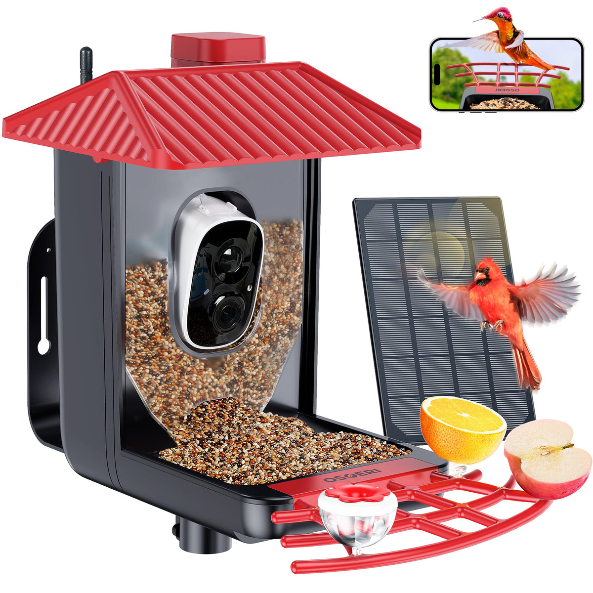 Osoeri Bird Feeder With Camera, Smart Ai Identify Wild Bird Feeders Camera, 1080P Auto Capture Bird Videos & Motion Detection, W