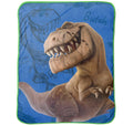 Jay Franco Disney The Good Dinosaur Carnivore 46 X 60 Plush Throw The