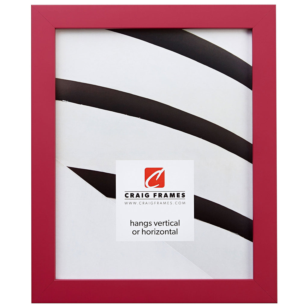 Craig Frames Confetti, Modern Pink Picture Frame, 19 x 25 Inch
