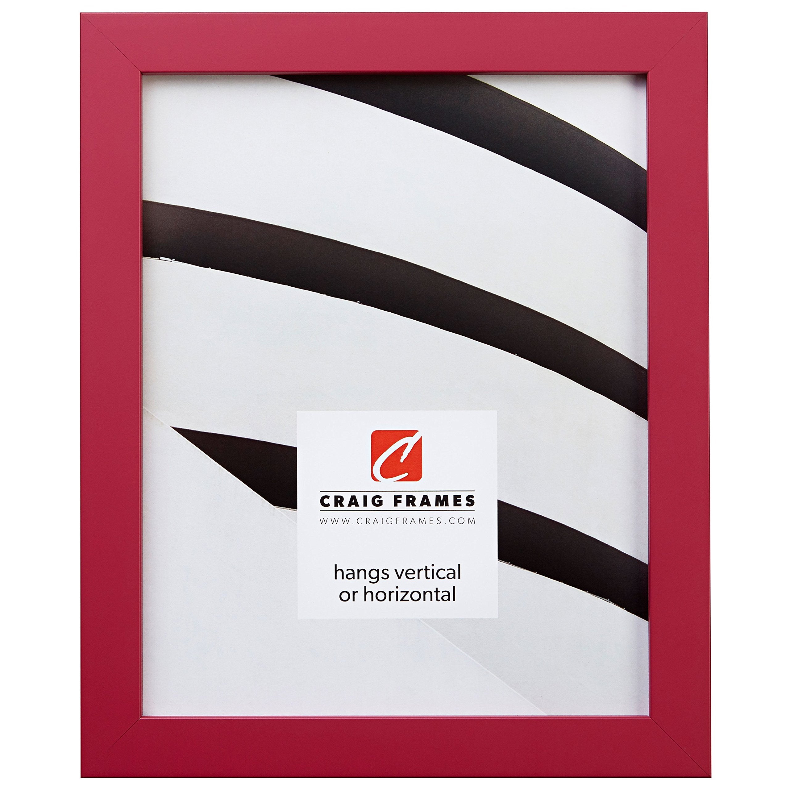 Craig Frames Confetti, Modern Pink Picture Frame, 17 x 22 Inch