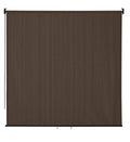 VICLLAX Outdoor Roller Shade, Patio Blinds Roll Up Shade (6 W X 6 L), Mocha