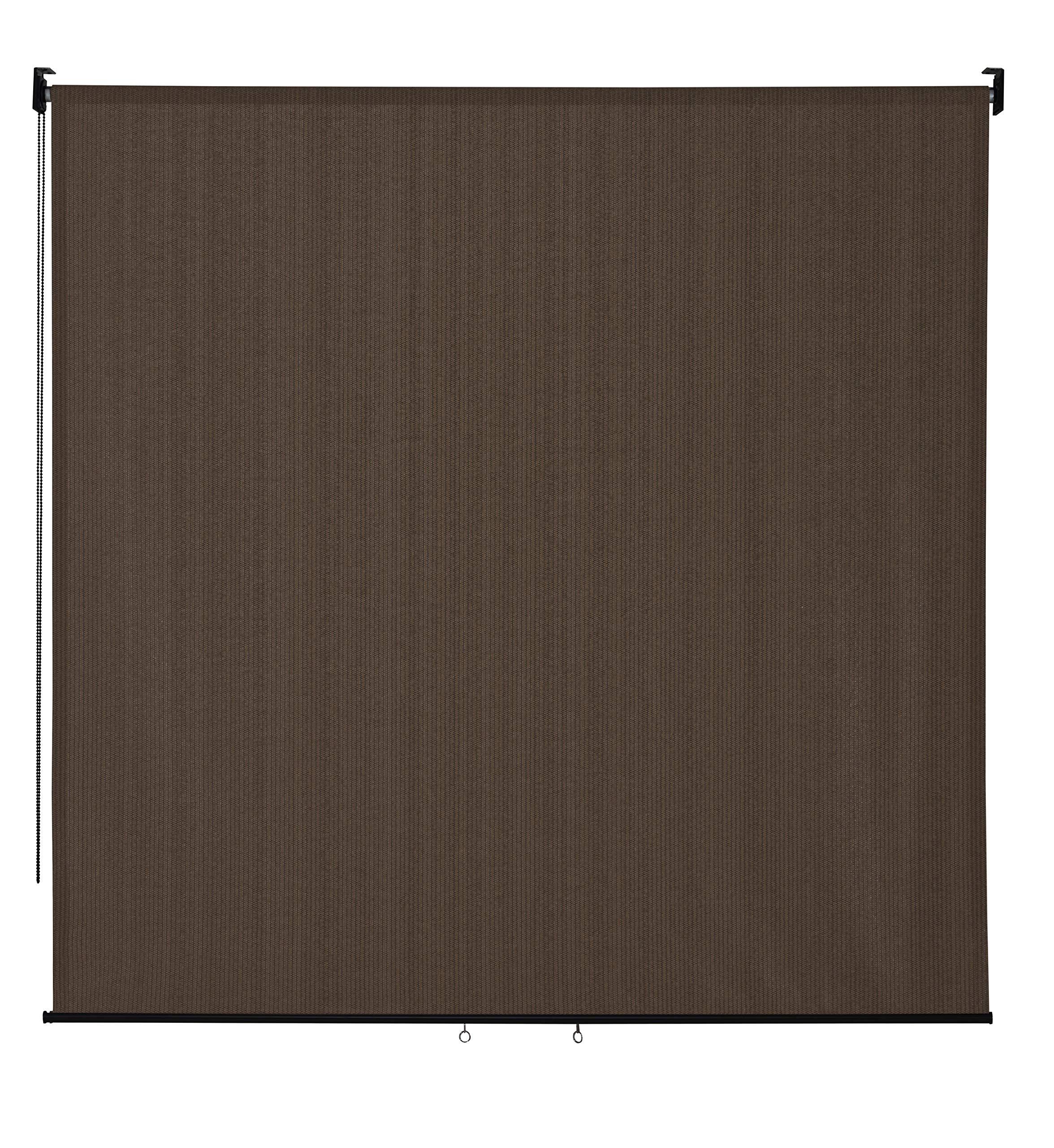 VICLLAX Outdoor Roller Shade, Patio Blinds Roll Up Shade (6 W X 6 L), Mocha