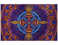 Sunshine Joy 3D Magic Mushroom Tapestry Tablecloth Wall Art Beach Sheet Huge 60X90 Inches - Amazing 3D Effects